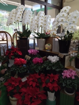 福岡県宗像市の花屋 吉武生花店にフラワーギフトはお任せください 当店は 安心と信頼の花キューピット加盟店です 花キューピットタウン
