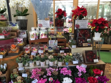 「吉武生花店」　（福岡県宗像市）の花屋店舗写真2